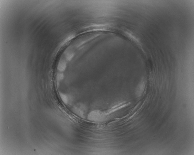 X0000063441411200602101610