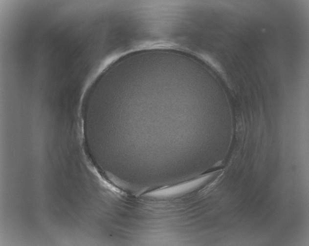 X0000063441414200602101610