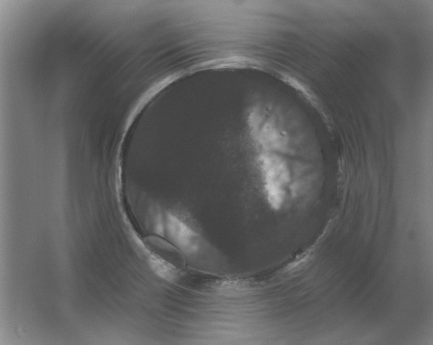 X0000063441418200602101610