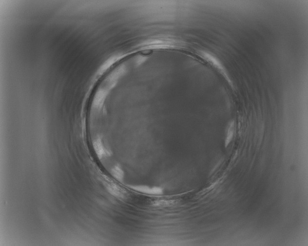 X0000063441419200602101610