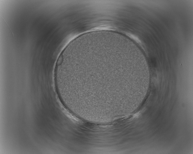 X0000063441423200602101610