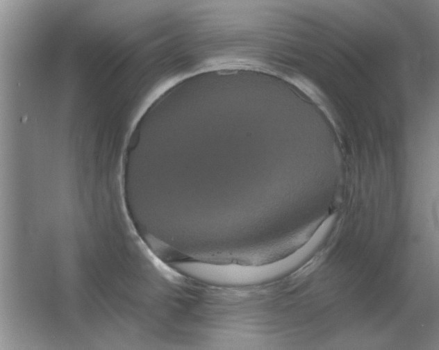 X0000063441438200602101611