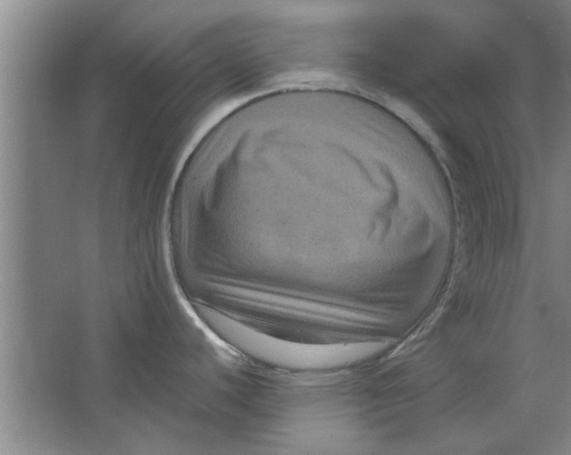 X0000063441440200602101611