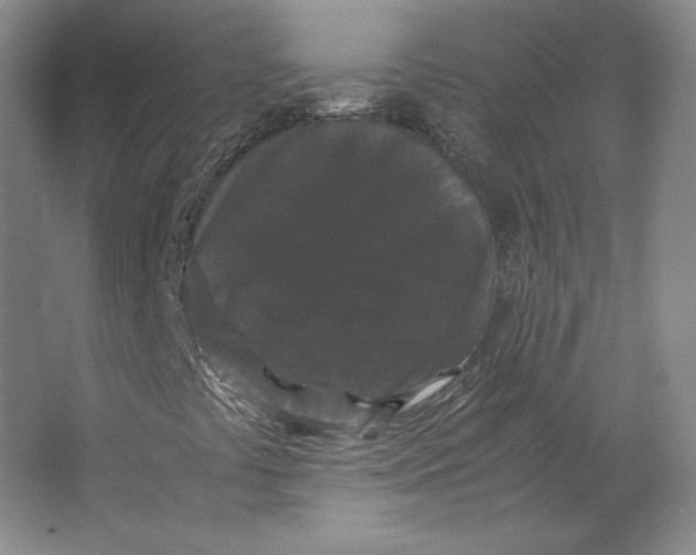 X0000063441441200602101610