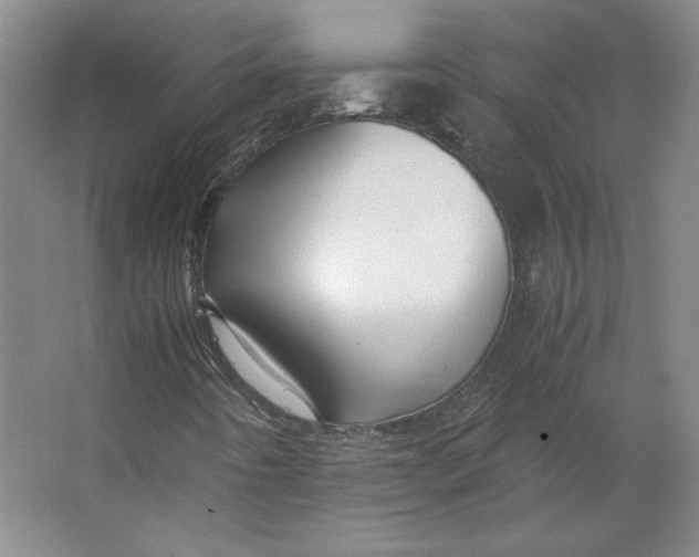 X0000063441442200602101610