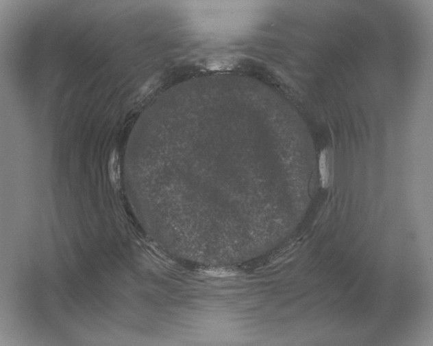 X0000063441443200602101610