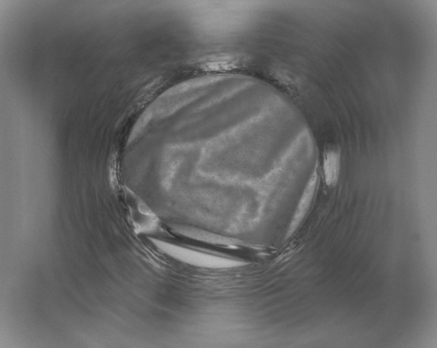 X0000063441444200602101610