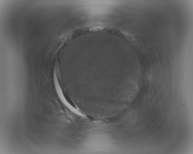 X0000063441445200602101610