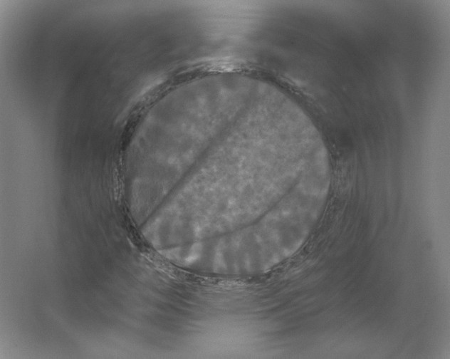 X0000063441446200602101610