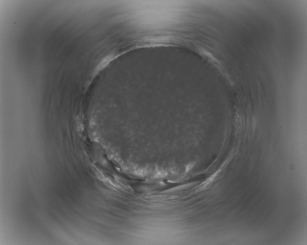 X0000063441449200602101610