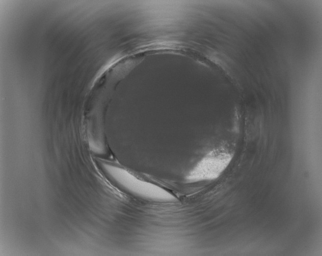 X0000063441450200602101610