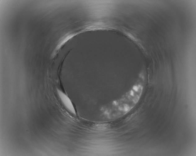 X0000063441453200602101610