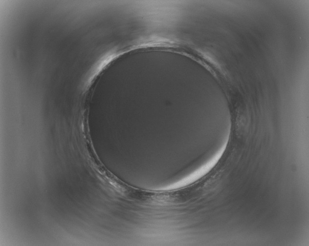 X0000063441455200602101610