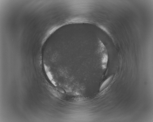 X0000063441461200602101610