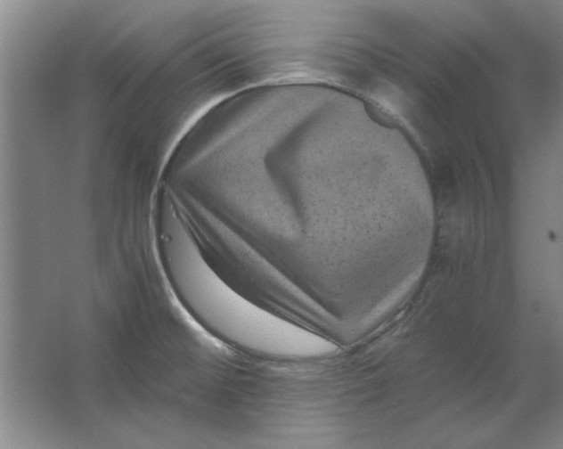 X0000063441476200602101609