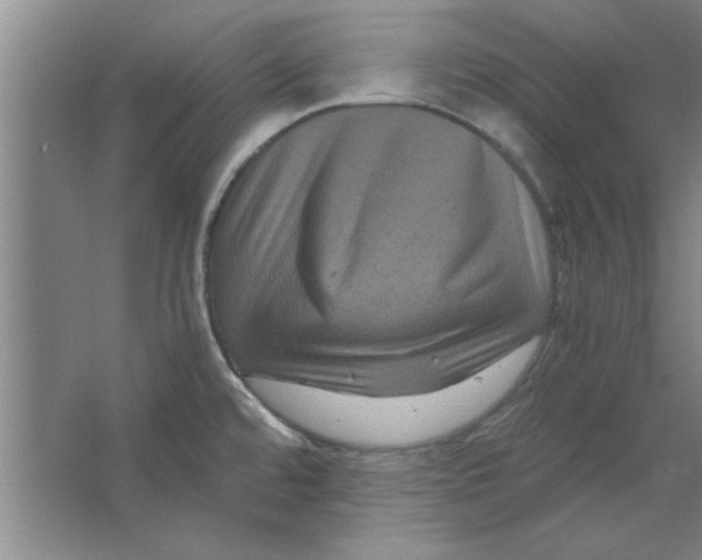 X0000063441480200602101609