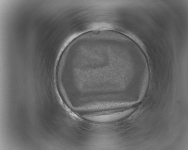 X0000063441488200602101609