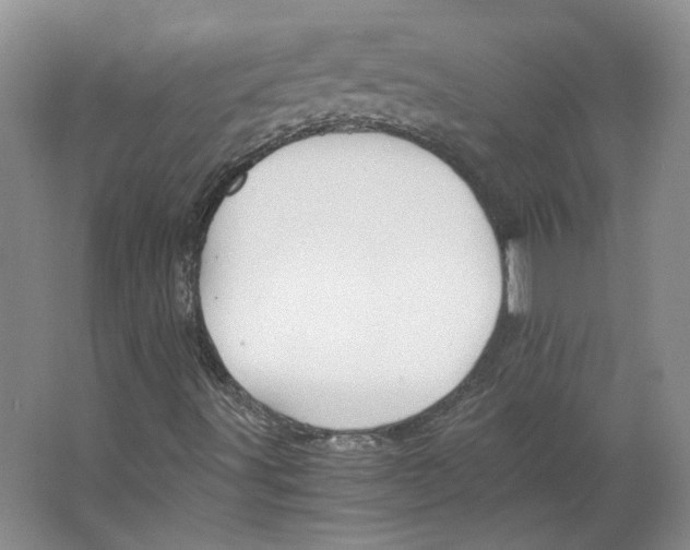 X0000063441491200602101608