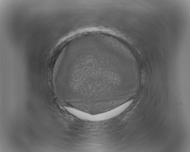 X0000063441494200602101608