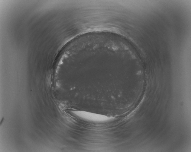 X0000063441497200602101608