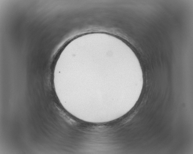 X0000063441502200602101608