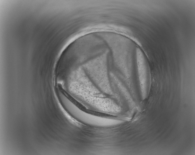 X0000063441523200602101609