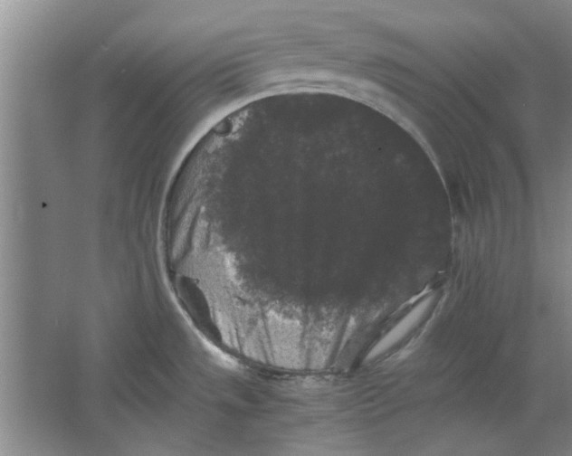 X0000063441533200602101609