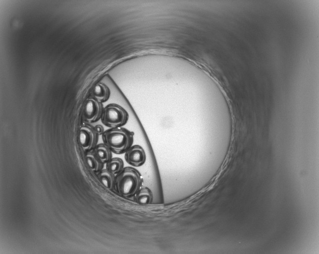 X0000063440001200602171843