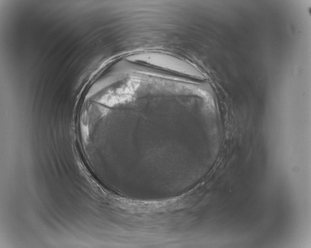 X0000063440002200602171843
