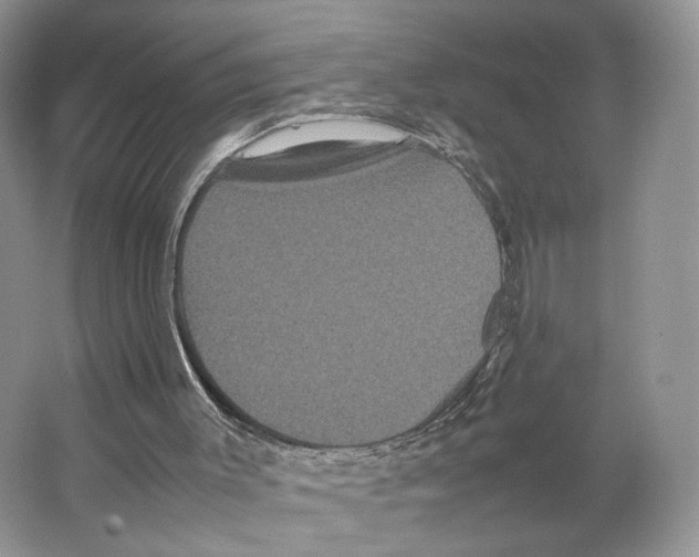 X0000063440003200602171843