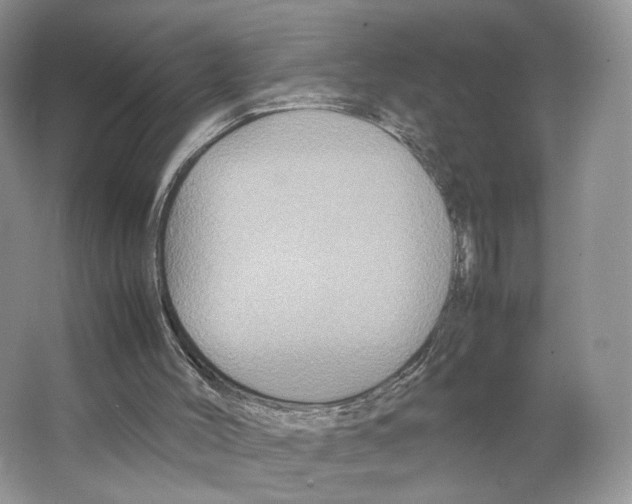 X0000063440004200602171843