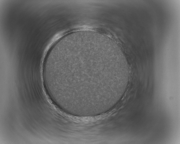 X0000063440006200602171843