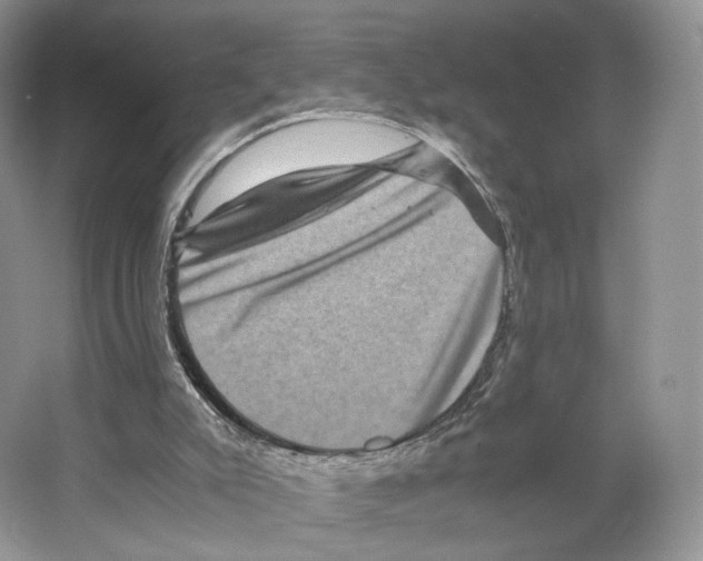 X0000063440007200602171843