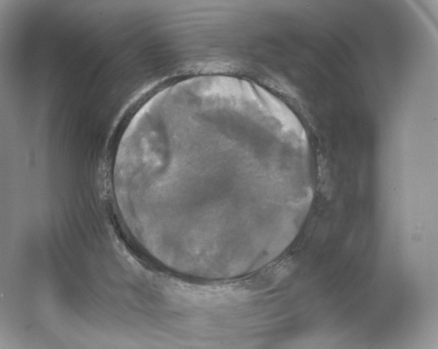 X0000063440012200602171843