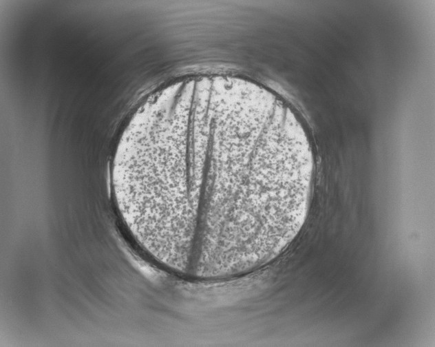 X0000063440013200602171843
