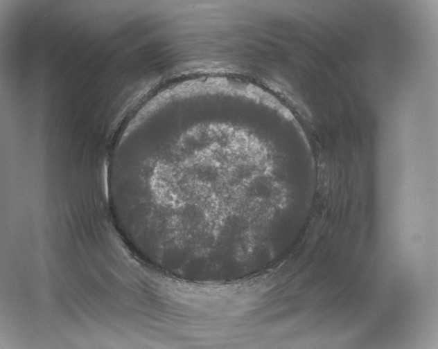 X0000063440014200602171843