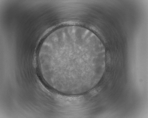 X0000063440016200602171843