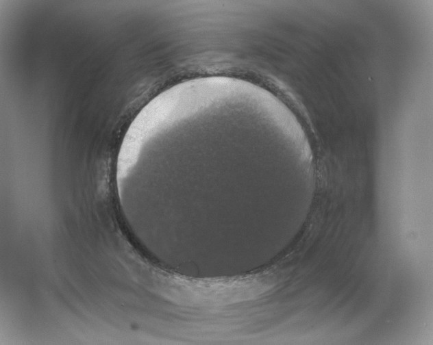 X0000063440018200602171843