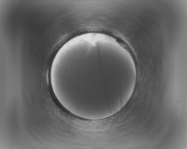 X0000063440019200602171843