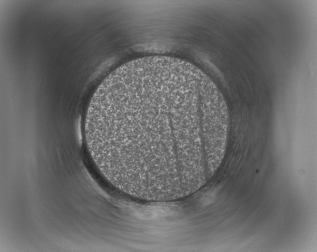 X0000063440020200602171843