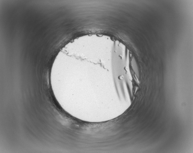 X0000063440021200602171843