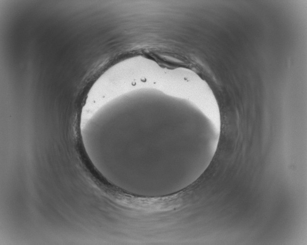 X0000063440023200602171843