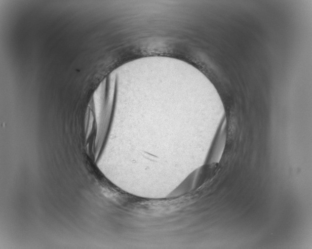 X0000063440025200602171843