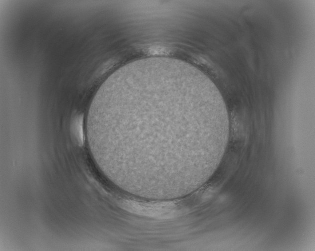 X0000063440028200602171843