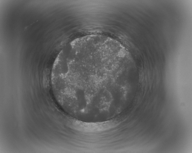 X0000063440030200602171842
