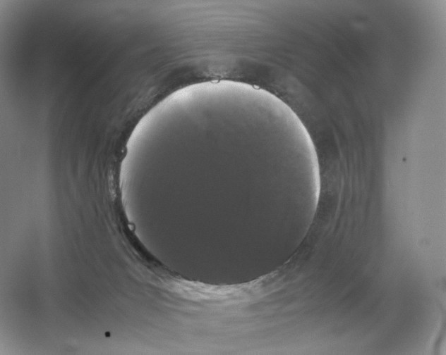 X0000063440031200602171842