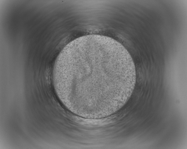 X0000063440034200602171842