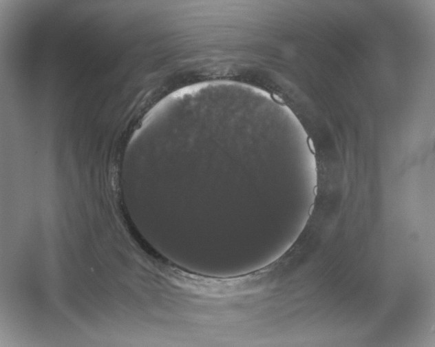 X0000063440035200602171842