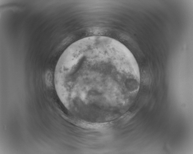 X0000063440036200602171842
