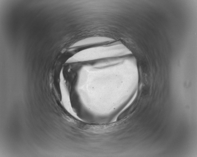 X0000063440037200602171842